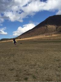 フレンチブルドック