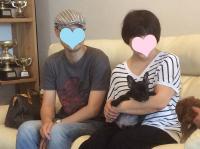 フレンチブルドック