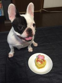 フレンチブルドック