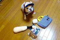 フレンチブルドック