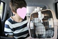 フレンチブルドック