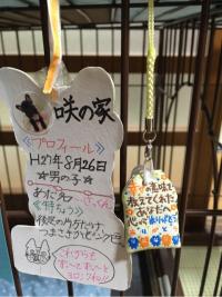 フレンチブルドック