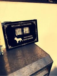 フレンチブルドック