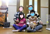 フレンチブルドック