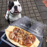 フレンチブルドック