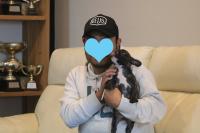 フレンチブルドック