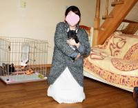 フレンチブルドック