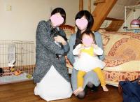 フレンチブルドック