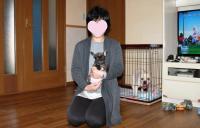 フレンチブルドック