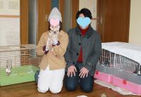 フレンチブルドック