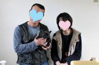 フレンチブルドック