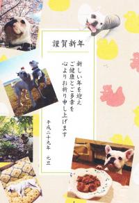 フレンチブルドック