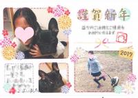 フレンチブルドック