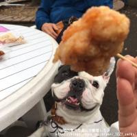 フレンチブルドック