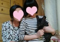 フレンチブルドック