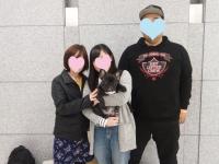 フレンチブルドック