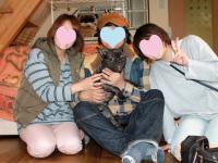 フレンチブルドック