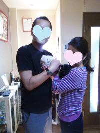 フレンチブルドック