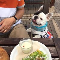 フレンチブルドック