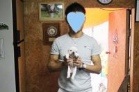 フレンチブルドック