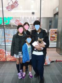 フレンチブルドック