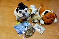 フレンチブルドック