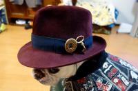 フレンチブルドック