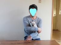 フレンチブルドック