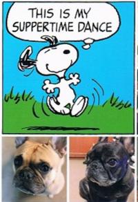 フレンチブルドック