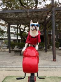 フレンチブルドック