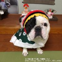 フレンチブルドック