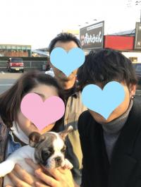 フレンチブルドック