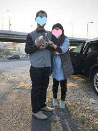 フレンチブルドック