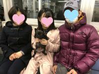 フレンチブルドック