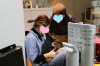 フレンチブルドック