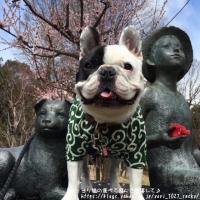 フレンチブルドック