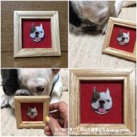 フレンチブルドック