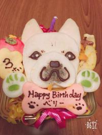 フレンチブルドック