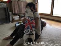 フレンチブルドック