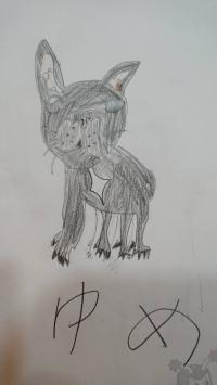 フレンチブルドック