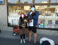 フレンチブルドック