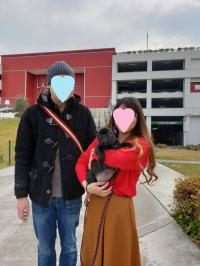 フレンチブルドック