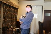 フレンチブルドック