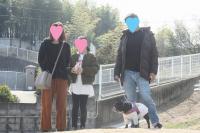 フレンチブルドック