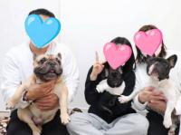 フレンチブルドック